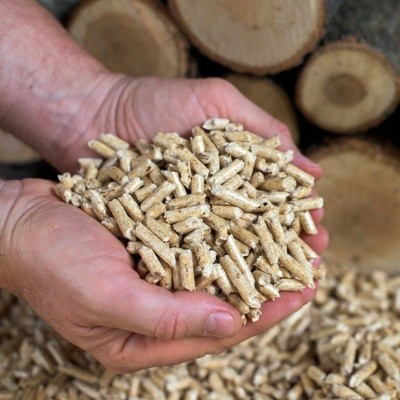 Prix des pellets de bois, quand les acheter : conseils pratiques